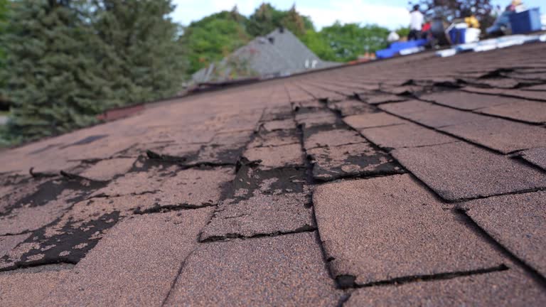 Best Commercial Roofing Services  in Gwinn, MI