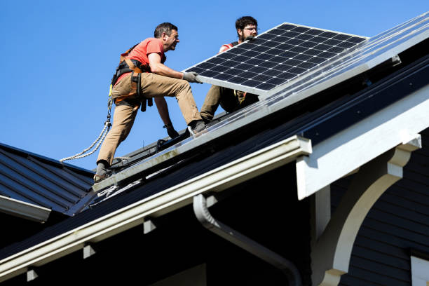 Best Roof Moss and Algae Removal  in Gwinn, MI